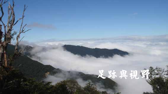 09觀霧夏天是藍天白雲的季節.JPG 09觀霧夏天是藍天白雲的季節.JPG