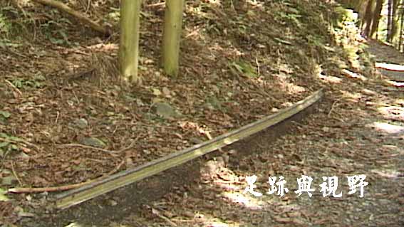 24鐵軌的遺跡.JPG 24鐵軌的遺跡.JPG