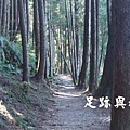 25檜山巨木步道