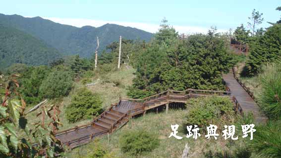 26雲霧步道.JPG 26雲霧步道.JPG