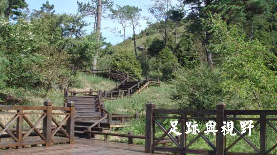 27步道入口在觀霧遊客中心旁.JPG 27步道入口在觀霧遊客中心旁.JPG