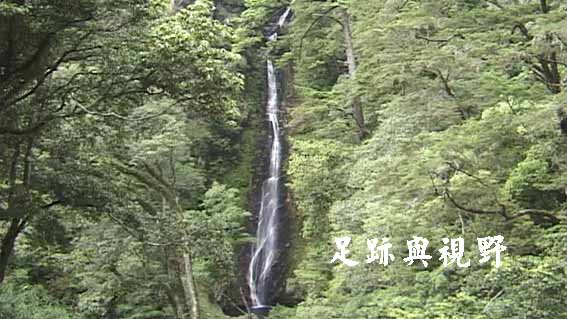 33觀霧瀑布.JPG 33觀霧瀑布.JPG