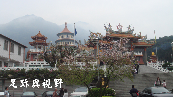 03兩株的迎賓櫻.JPG 03兩株的迎賓櫻.JPG