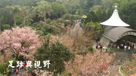 22這也算是賞櫻時節的挑戰之一呢.JPG 22這也算是賞櫻時節的挑戰之一呢.JPG