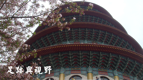 07天壇與櫻花的合影.JPG 07天壇與櫻花的合影.JPG
