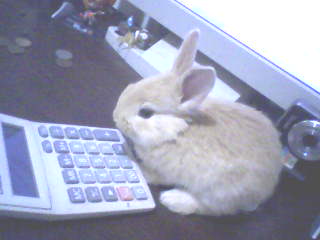 小翔喜歡計算機