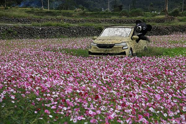 花東--追火車