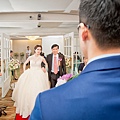 IMG_78348.jpg