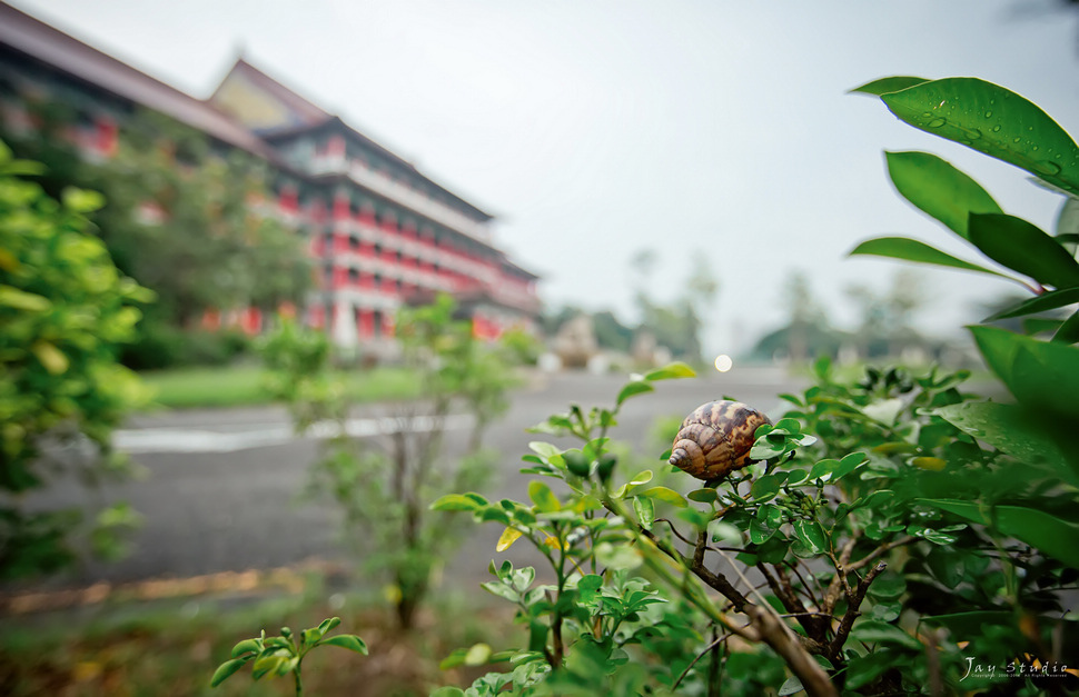 圓山飯店迎娶~晶綺盛宴 錦繡廳婚攝~育德&慧珊定結婚