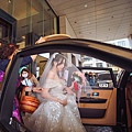 IMG_16841.jpg