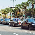 IMG_16964.jpg