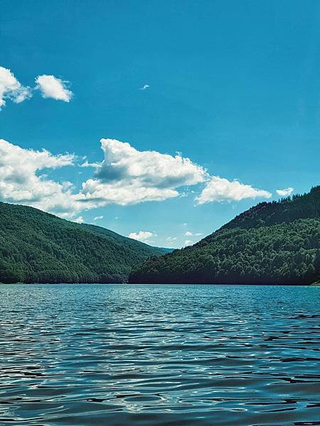 如何幫助孩子面對寵物離世