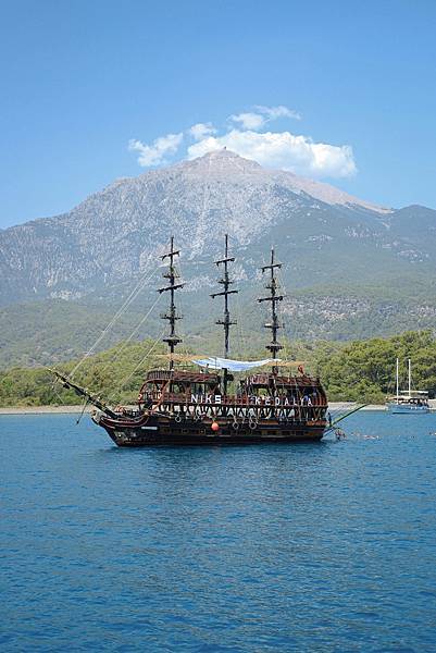 毛小孩離世後的心理歷程：如何走過悲傷五階段