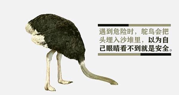 鴕鳥心態.jpg