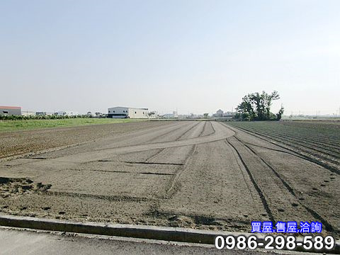 P06.jpg