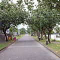 DSC_6127.JPG