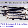秋刀魚-107.jpg