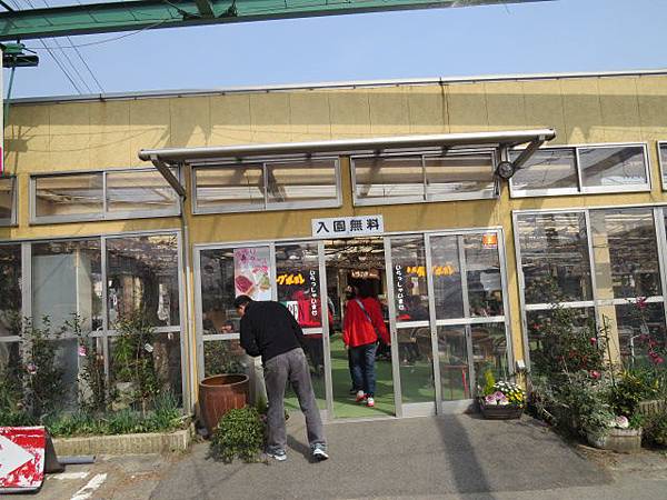 新潟白根果園採草莓 新潟白根果園採草莓