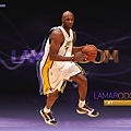 lamar_odom1024x768.jpg