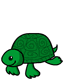 turtle.gif
