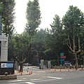 大學路1