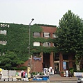 大學路2