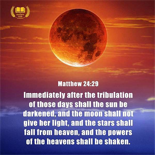 Bible Prophecy 4 The Powers Of The Heavens Have Been Shaken Matthew 24 29 Says Immediately After The Tribulation Of Those Days Shall The Sun Be Darkened A1190的部落格 痞客邦 Bible Prophecy 4 The Powers Of The Heavens Have Been Shaken Matthew 24 29 Says Immediately After The Tribulation Of Those Days Shall The Sun Be Darkened A1190的部落格 痞客邦