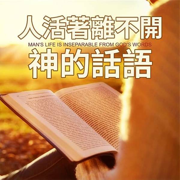 全能神經典話語 《神末世審判工作的話語》 選段117／🌿3.