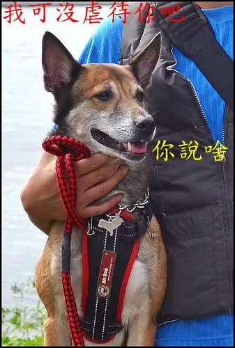 却上心头 等待爹地与妈咪下班回家 part ii @ 这是sonnyking的新部落