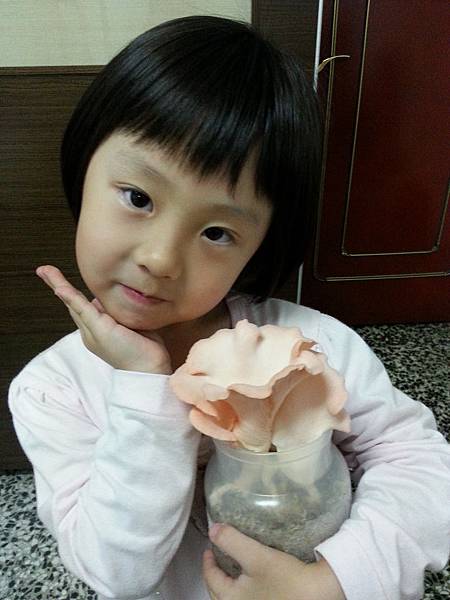 20160418_181932.jpg 20160418_181932.jpg