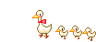 507804864.gif 試用