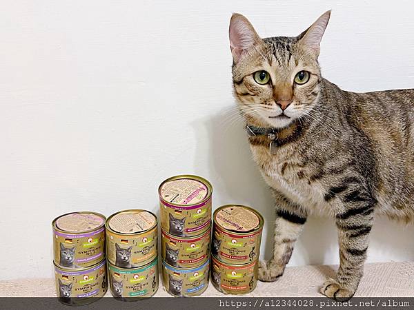 ◤Tigger體驗◢ (交響樂主食貓罐評價)【葛蕾特】交響樂