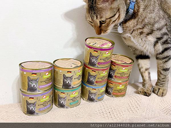 ◤Tigger體驗◢ (交響樂主食貓罐評價)【葛蕾特】交響樂