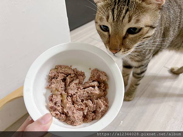 ◤Tigger體驗◢ (交響樂主食貓罐評價)【葛蕾特】交響樂