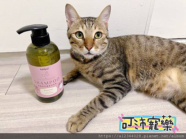 ◤Tigger體驗◢【可沛寵藥】絲胺植萃寵物沐浴乳―針對不同