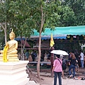 泰國樹中廟4