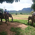 2015泰國騎大象8