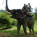 2015泰國騎大象12