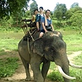 2015泰國騎大象13