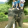 2015泰國騎大象14