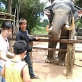 2015泰國騎大象16