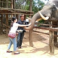2015泰國騎大象17