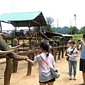 2015泰國騎大象20