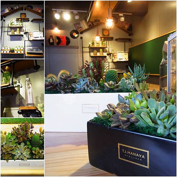 1129-8.jpg 1129-8.jpg