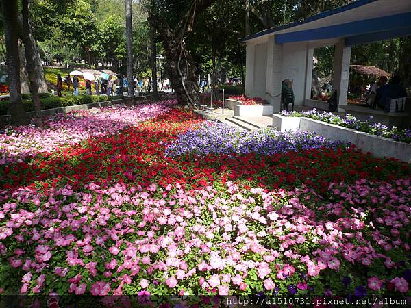 1020215台南中山公園+高雄駁二特區 (31)