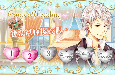 Princess Wedding Leo2