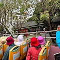 S__1196080.jpg