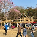 S__471752711.jpg