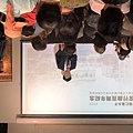 S__526737427_0.jpg