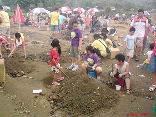 金山地瓜節 大小姐的部落格 痞客邦